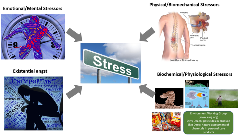 stress-and-health-part-2-finesse-fitness