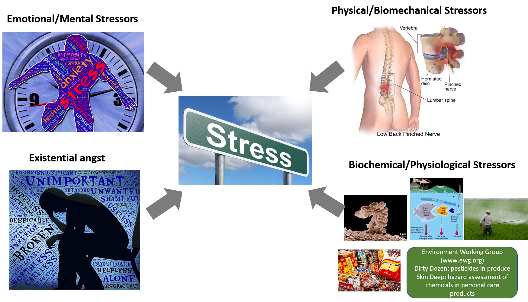 why-stress-is-the-culprit-simply-radiant-living