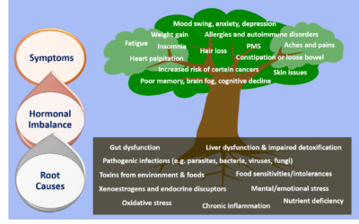 Signs That Your Hormones May be Out of Whack
