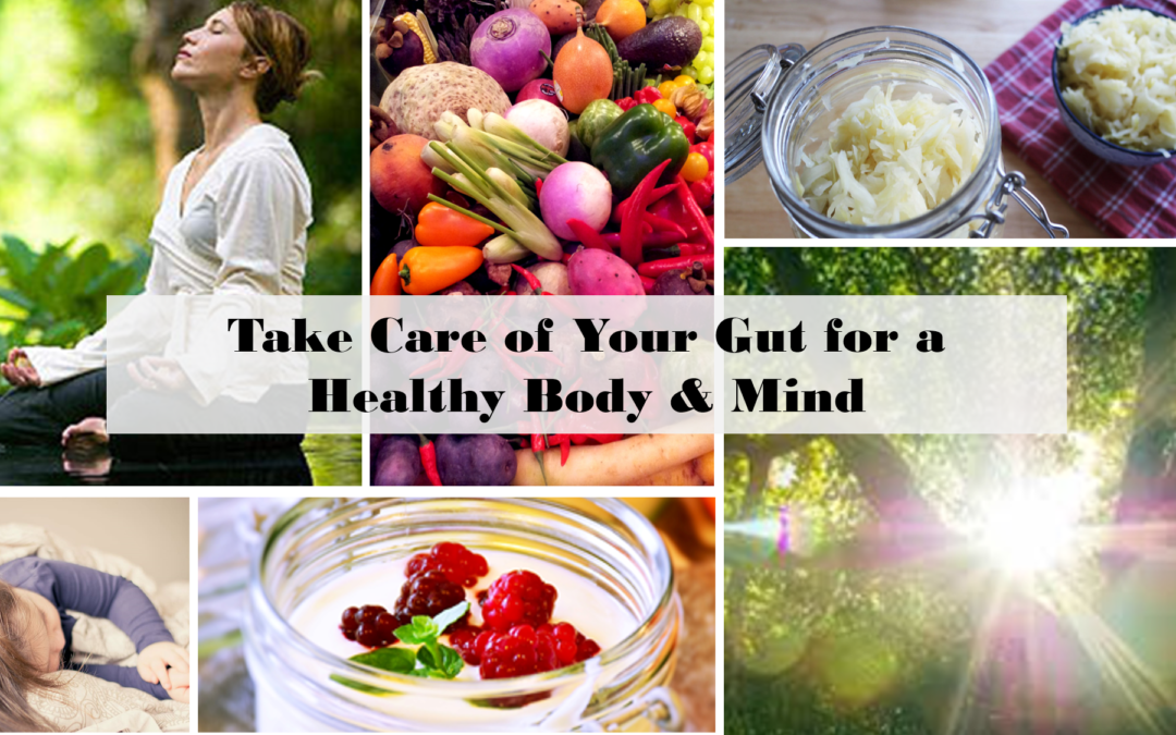 Tips to Promote Gut Health for a Healthy Body & Mind